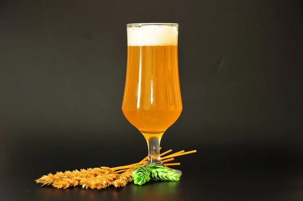 Tall glass goblet with wheat beer, hops and ears of cereals on a black background. Close-up.