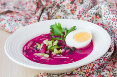 Salatalık, turp, yumurta, yaz trad ile lezzetli soğuk pancar çorbası