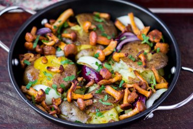 Cantharellus cibarius mantar, soğan, lezzetli sebze patates kızartması