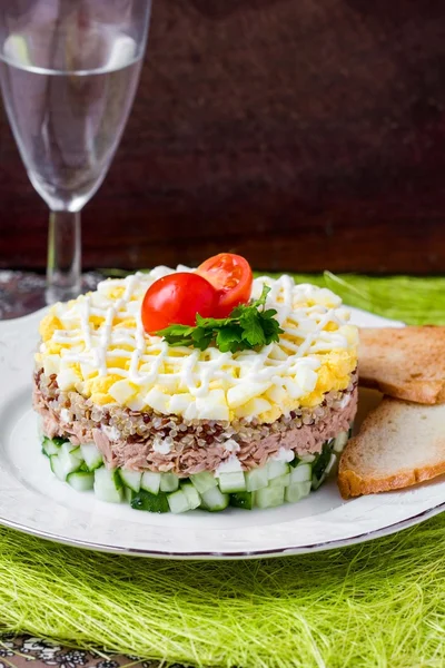 Orosz saláta tonhal, quinoa, tojás, uborka, verem, holiday egy — Stock Fotó