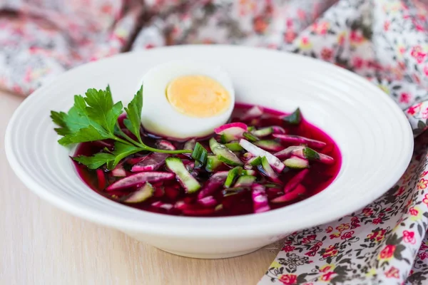 Delicious cold beet soup with cucumber, radish, egg, summer trad — Stock Photo, Image