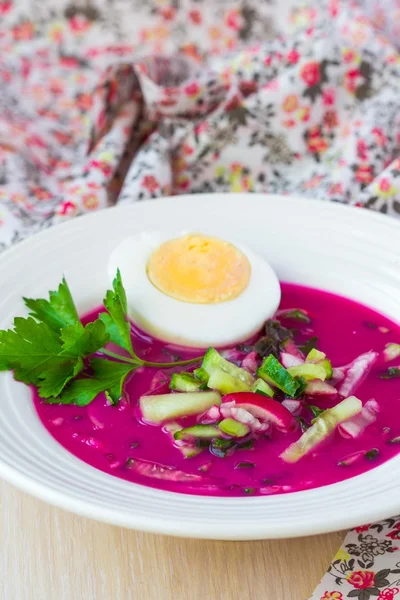 Delicious cold beet soup with cucumber, radish, egg, summer trad — Stock Photo, Image