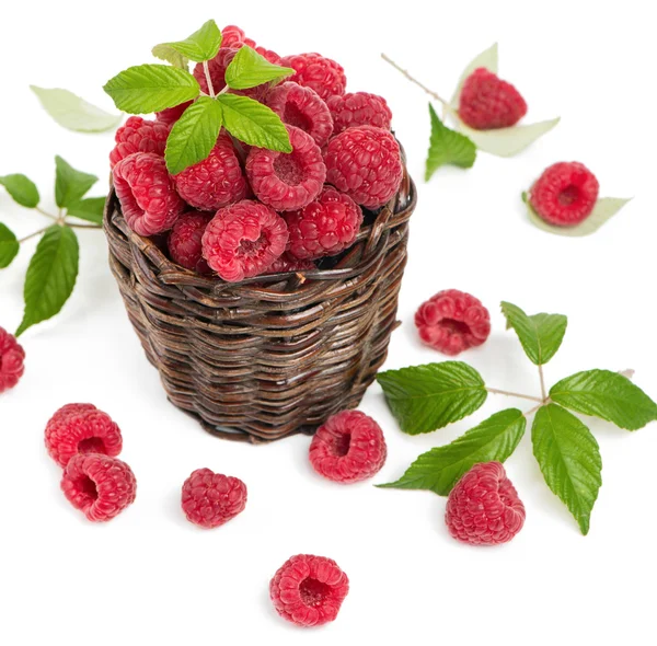 Red raspberries in basket — Stock Photo, Image