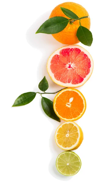 Various citrus fruits, shot from above — Stock Photo, Image