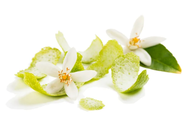 Blossom and zest of lime — Stock Photo, Image