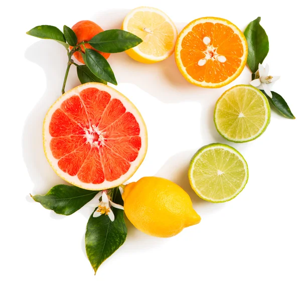 Mixed citrus fruit, above view — Stock Photo, Image