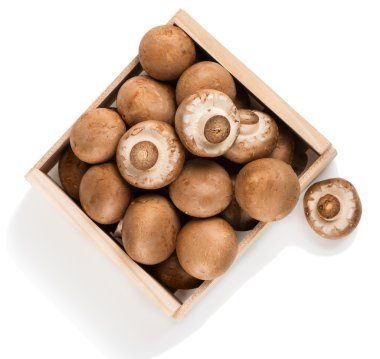 Champignon mushrooms, above view clipart