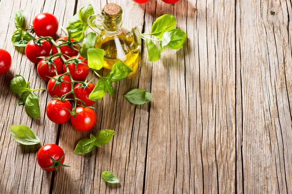 Basil, tomatoes, olive oil. — Stock Photo, Image