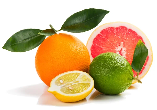 Kolorowe owoce cytrusowe. — Zdjęcie stockowe