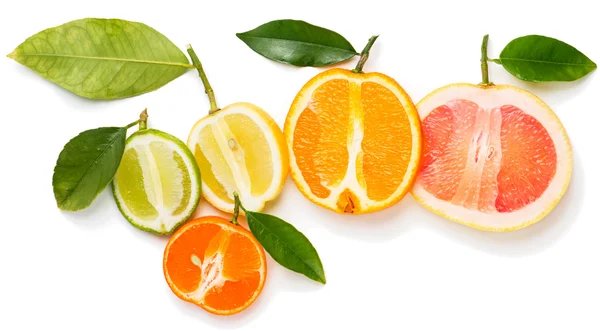 Halves of citrus fruits. — Stock Photo, Image