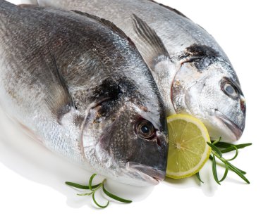 Yaldızlı kafalı barbun, pişmemiş.