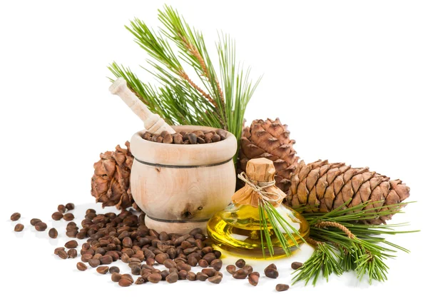 Cedar oil and pine nuts. — Stock Photo, Image