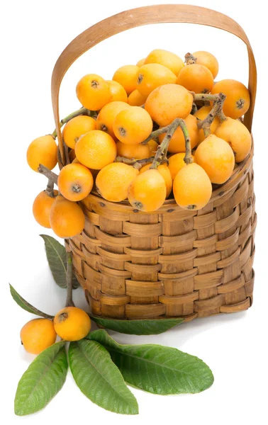 Frutos loquat no ramo e na cesta — Fotografia de Stock