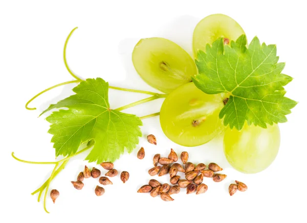 gelen yukarıdaki üzüm ve üzüm çekirdeği göster