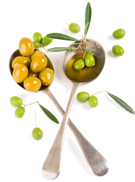 Olives, olive oil and twig of olive tree — Stock Photo, Image