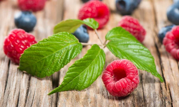 Frutas diferentes doces maduras — Fotografia de Stock