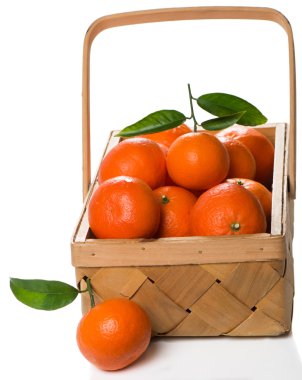 Yaprakları ile olgun mandalina sandığı