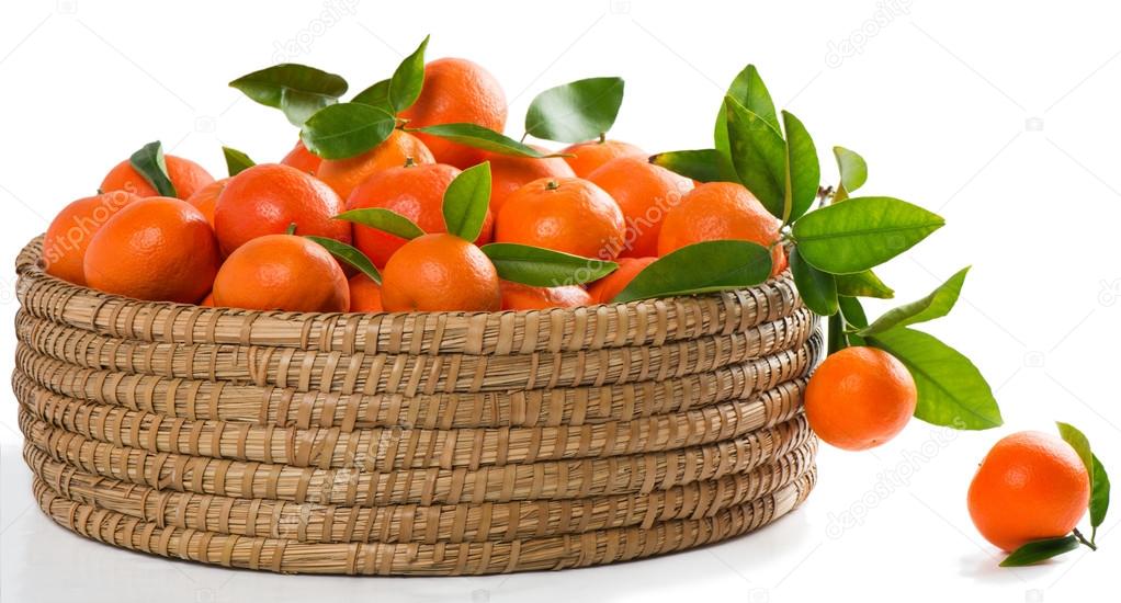 Tangerines or mandarins with leaves in a great  basket