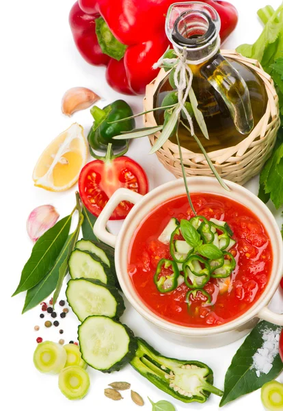 Sopa de tomate gazpacho, verduras y especias — Foto de Stock