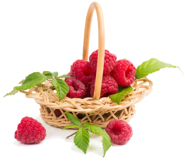 Raspberries in the wicker basket — Stock Photo, Image