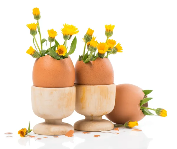 Ägg med vårblommor i trä eggcups — Stockfoto