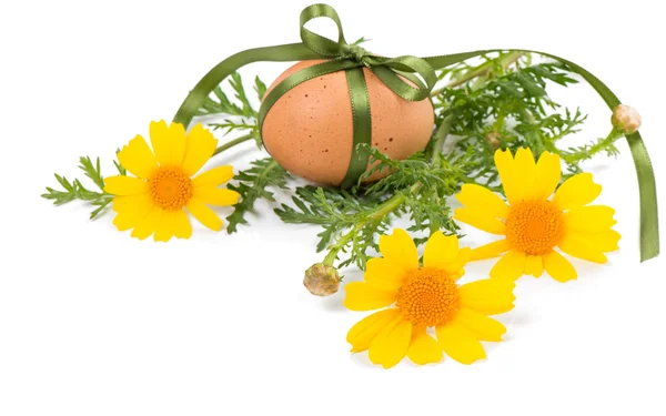 Decorated egg and spring flowers — Stock Photo, Image