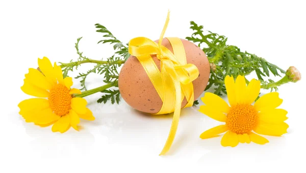 Easter egg and yellow flowers — Stock Photo, Image