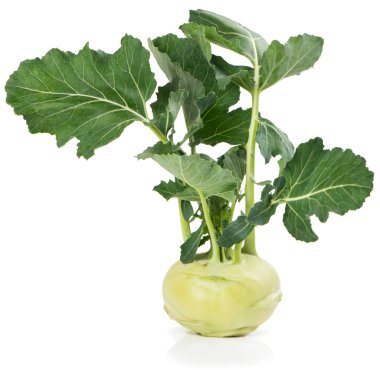 Sarımsak (Brassica oleracea L.)