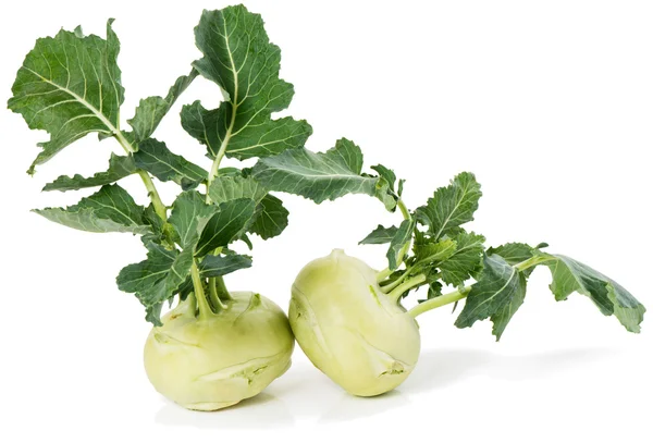 Frisches Kohlrabi-Gemüse — Stockfoto