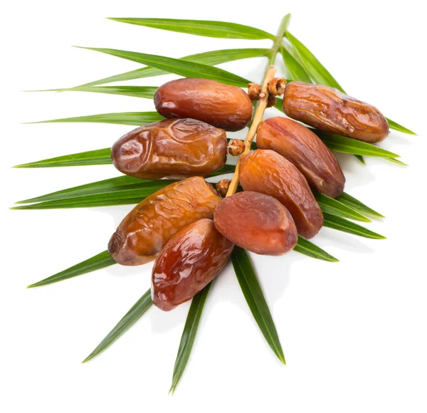 Date fruits and leaf of palm — Stock Photo, Image