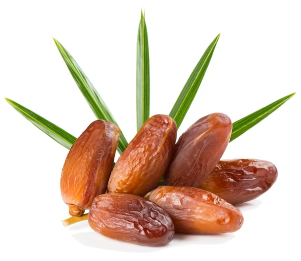 Branch of date fruits — Stock Photo, Image
