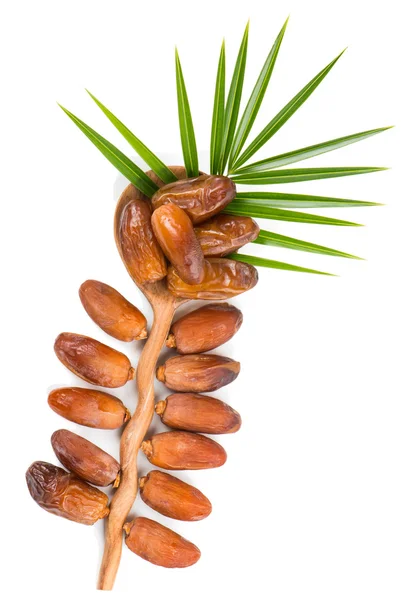 Date fruits in a spoon, top view — Stock Photo, Image