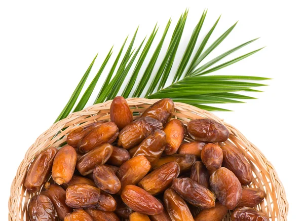 Date fruits in a dish, top view — Stock Photo, Image