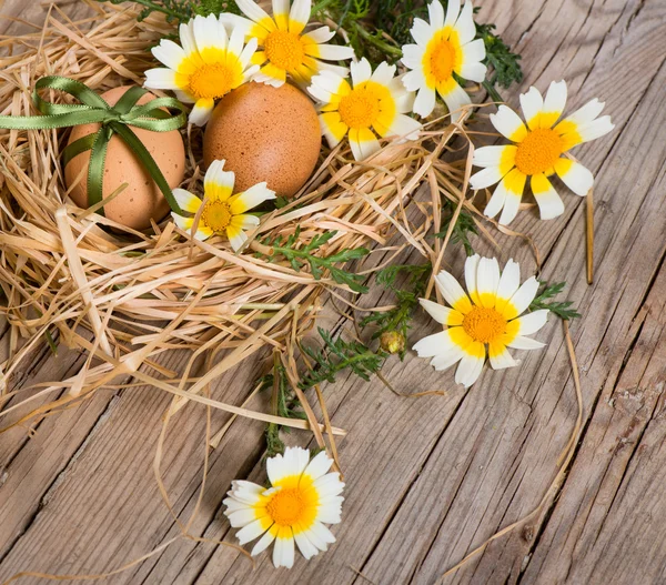 Easter eggs with ribbon in a nest and flowers — Stock Photo, Image