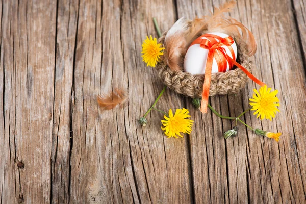 Nest with easter eggs and yellow flowers — Stock Photo, Image