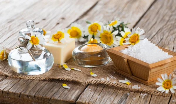 Spa theme object of chamomile — Stock Photo, Image