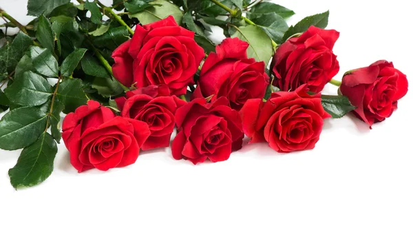 Bouquet of red roses — Stock Photo, Image