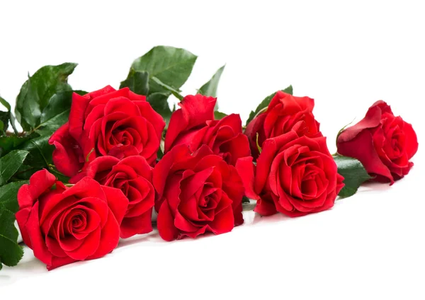 Krásná kytice z rudých růží — Stock fotografie