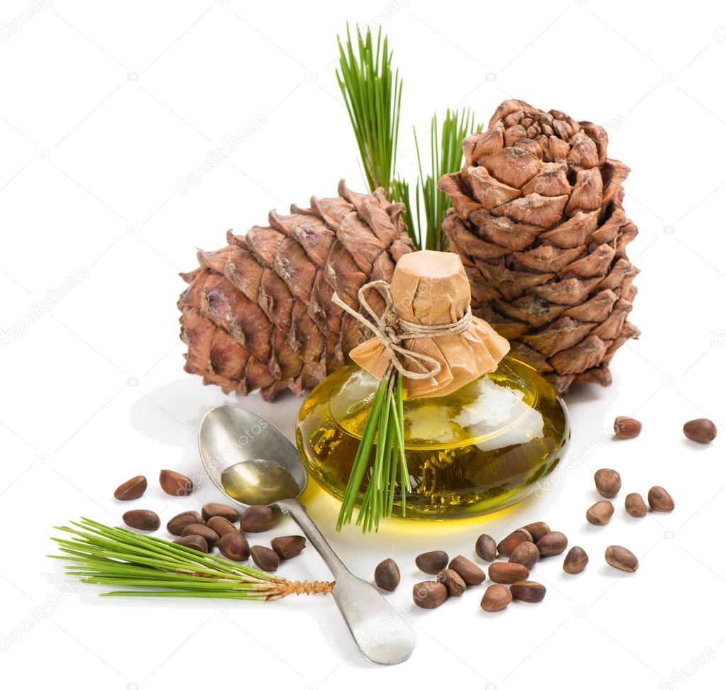 Cedar pine nuts, cones and oi