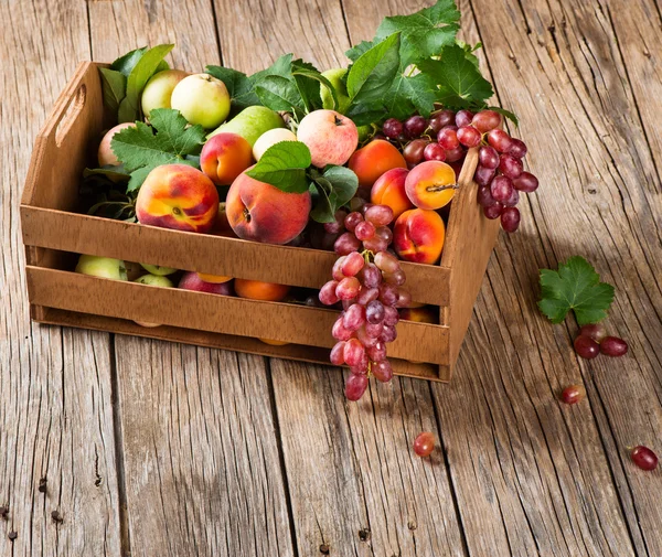 Assortment of fruits in a box — Zdjęcie stockowe