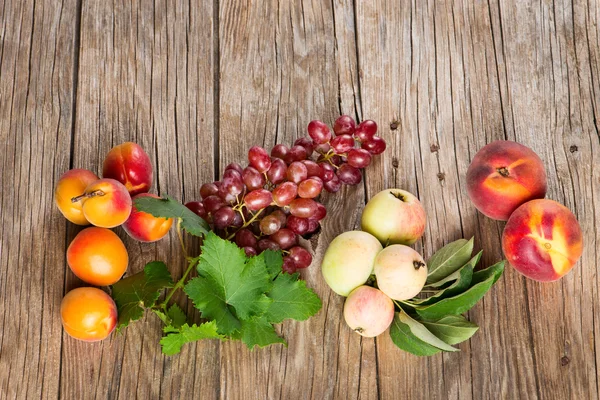 Варіації свіжих фруктів, вид зверху — стокове фото
