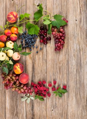 Frame of fresh colorful fruits, above view