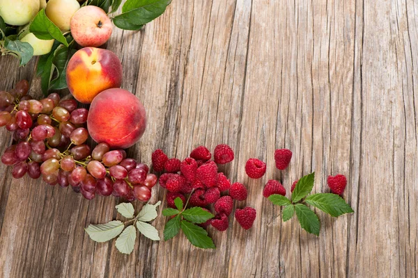 Bagas e frutos biológicos — Fotografia de Stock