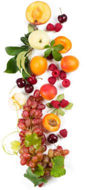 Composition with fruits, view from above