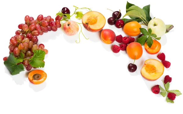 Sammlung von Früchten — Stockfoto
