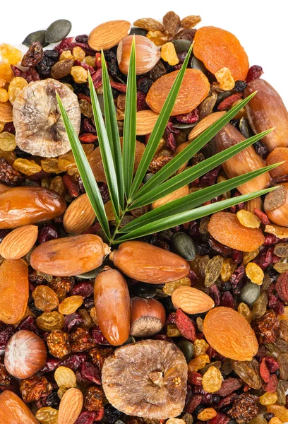 Variation dry fruits, shot from above — Stock Photo, Image