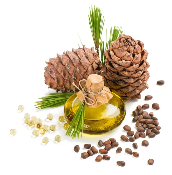 Cedar pine nuts and oil — Stock Photo, Image