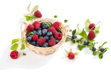 Ahududu ve yaban mersini ile sepeti