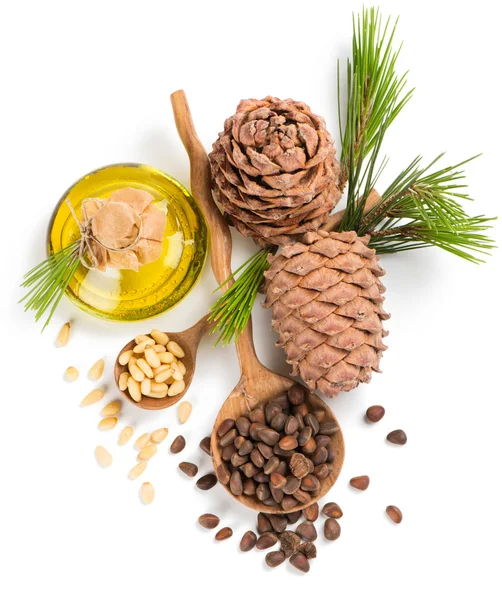 Cedar pine nuts and oil, view from above — Stockfoto