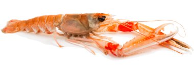 Bilinenlerin, yakın